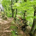 Accueillant A 70 M² Avec Jardin Privatif 公寓