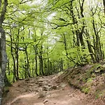 公寓 Accueillant A 70 M² Avec Jardin Privatif *