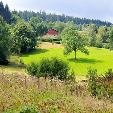 Spacieux A Longemer 70 M² Parking Inclus *