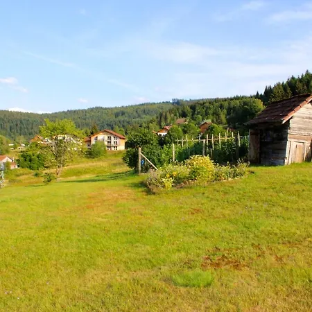 Accueillant à 70 M² Avec Jardin Privatif Appartement Xonrupt-Longemer