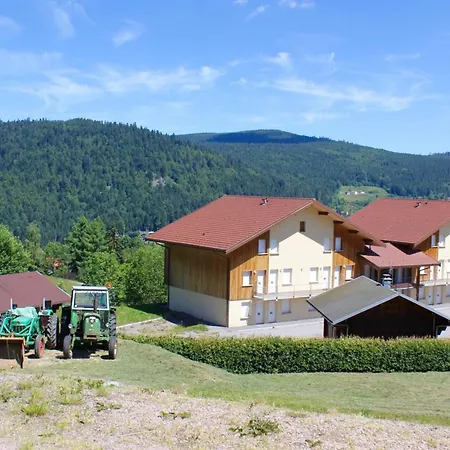 Appartement Accueillant à 70 M² Avec Jardin Privatif Xonrupt-Longemer
