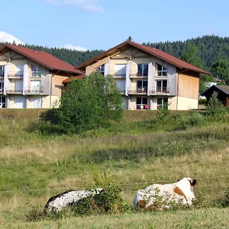 Appartement Accueillant à 70 M² Avec Jardin Privatif Xonrupt-Longemer