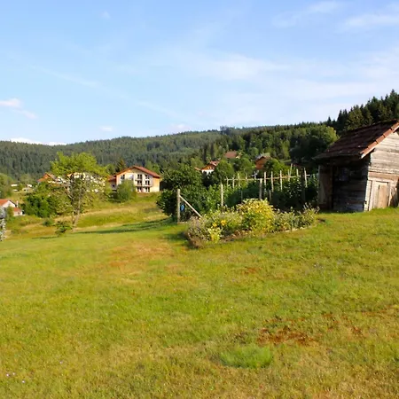 Accueillant à 70 M² Avec Jardin Privatif * Xonrupt-Longemer