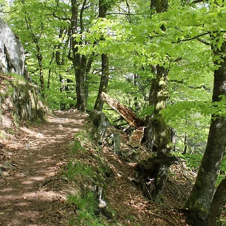 Accueillant à 70 M² Avec Jardin Privatif *