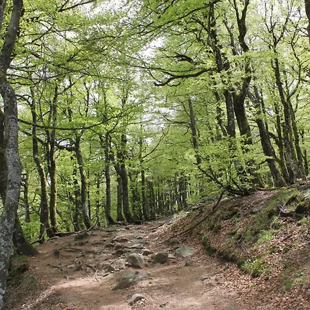 Accueillant à 70 M² Avec Jardin Privatif *