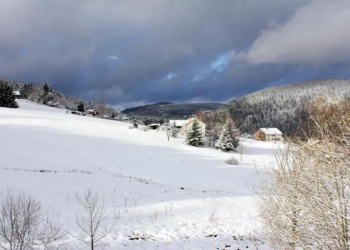 Apartmán Accueillant A 70 M² Avec Jardin Privatif Xonrupt-Longemer