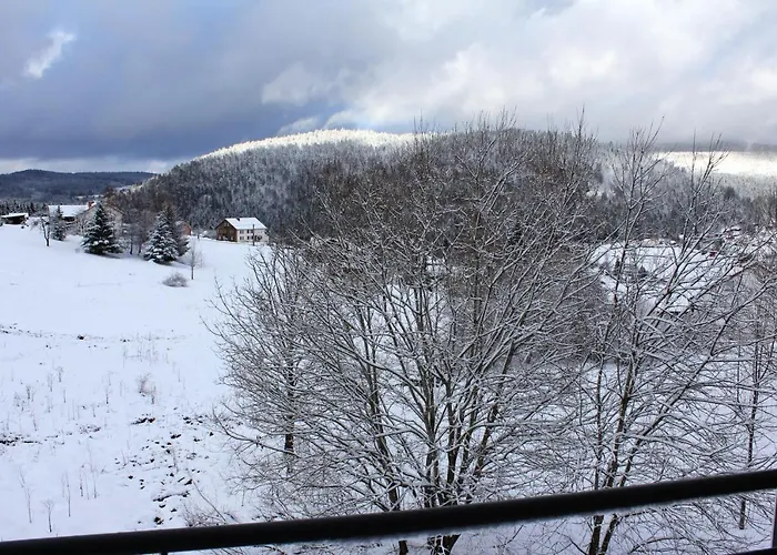 Accueillant A 70 M² Avec Jardin Privatif * Xonrupt-Longemer