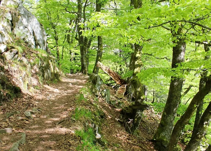 Accueillant A 70 M² Avec Jardin Privatif Apartmán