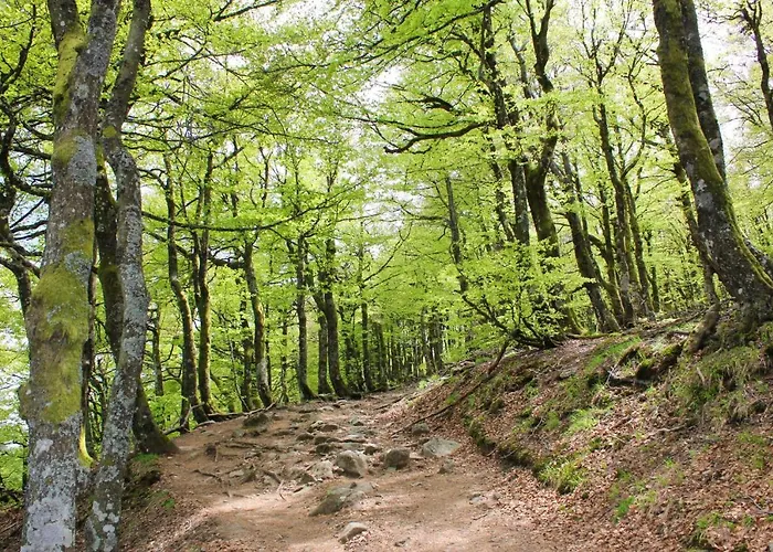 Apartmán Accueillant A 70 M² Avec Jardin Privatif *