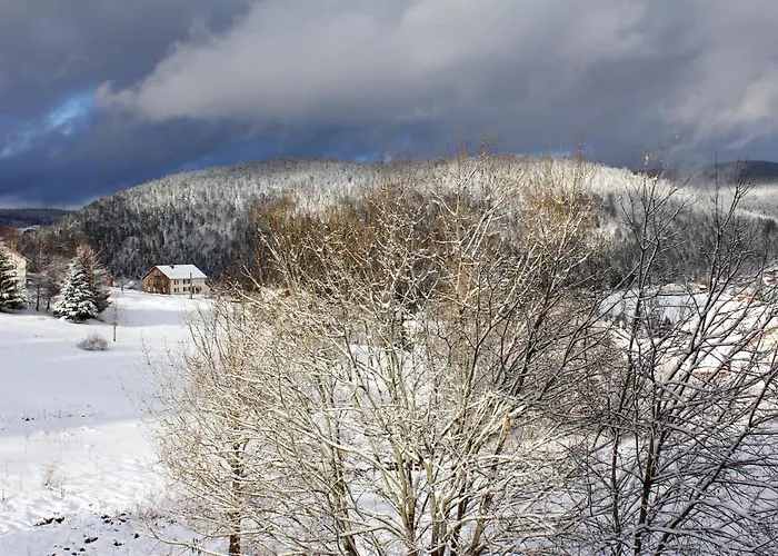 Apartmán Accueillant A 70 M² Avec Jardin Privatif *