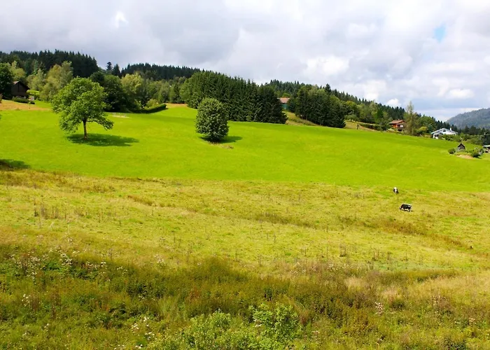 Accueillant A 70 M² Avec Jardin Privatif Xonrupt-Longemer