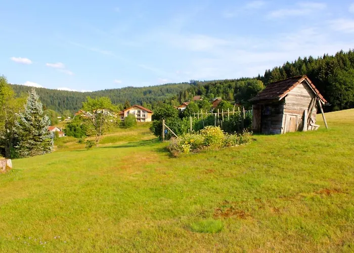 Accueillant A 70 M² Avec Jardin Privatif Apartmán Xonrupt-Longemer