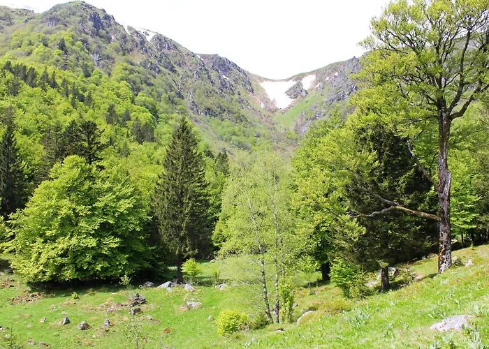 Apartmán Accueillant A 70 M² Avec Jardin Privatif *